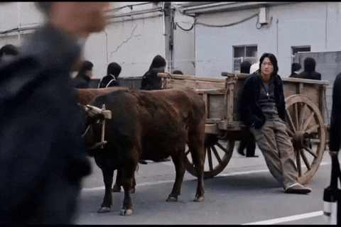Man Leaning on Wooden Cart Pulled by Cows