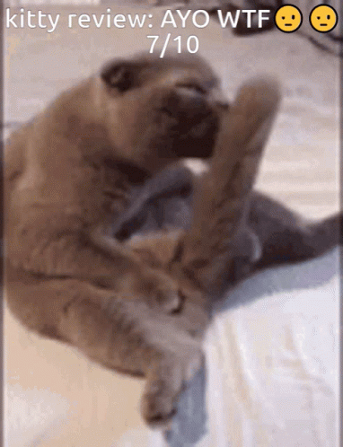 Man Licking Pink Object Saying Licking The 7/10 Split GIF