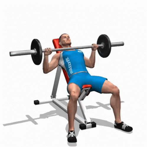 Man Lifting Barbell On Bench With Bodyfit Shirt