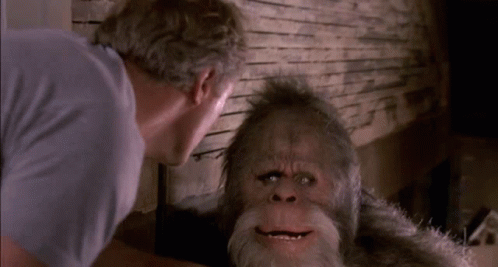 Man Looking at Bearded Monkey in Mirror