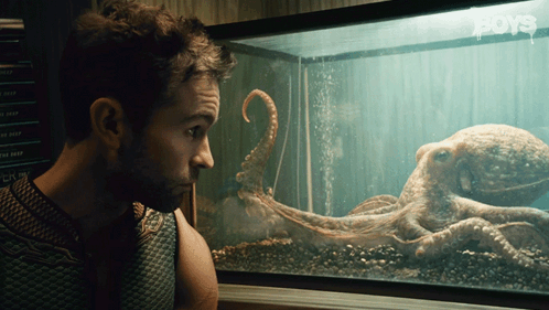 Man Looking at Octopus in Boys Tank