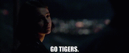 Man Looking Out Window at Night Go Tigers