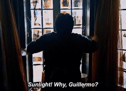 Man Looking Out Window Sunlight Why Guillermo GIF