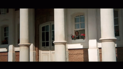 Man Looking Out Window with Flowers
