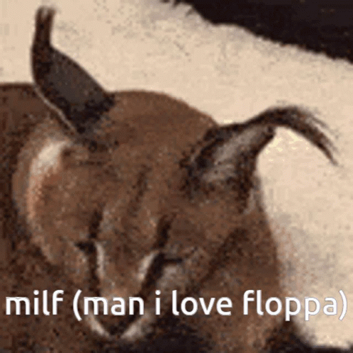 Man Loves Tired And Sleepy Floppa GIF