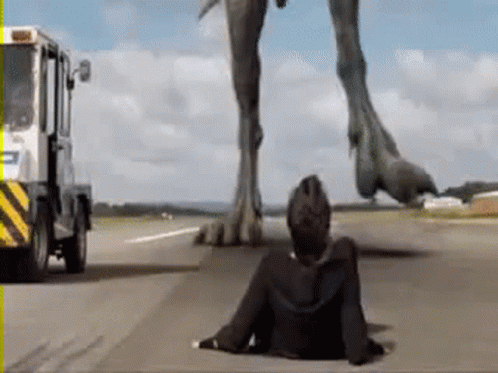 Man Lying Next To Large Dinosaur GIF