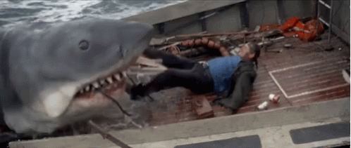 Man Lying On Boat Deck Shark Approaching GIF