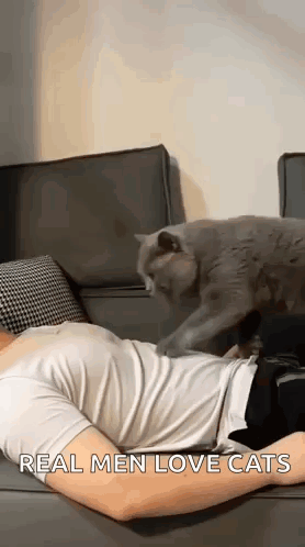 Man Lying on Couch With Cat Playing