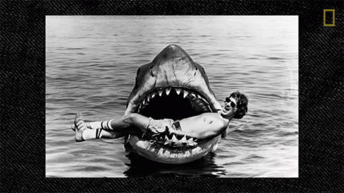 Man Lying On Shark Float In Ocean GIF