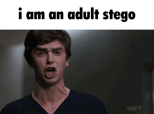 Man Making Funny Face Saying I Am An Adult Stego
