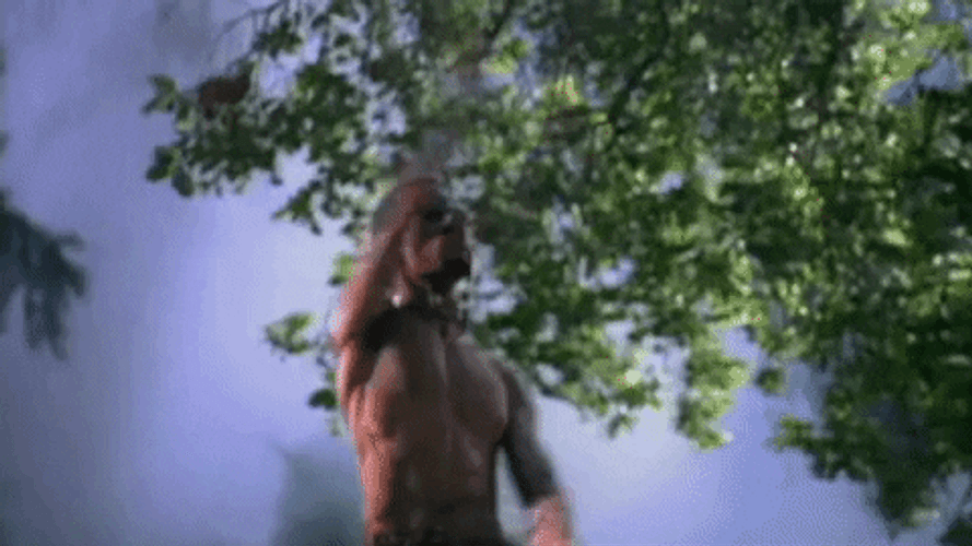 Man Martial Art Training Strikes Training GIF