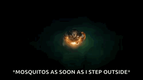 Man Mosquitos As Soon As I Step Outside