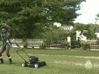 Man Mowing Green Lawn