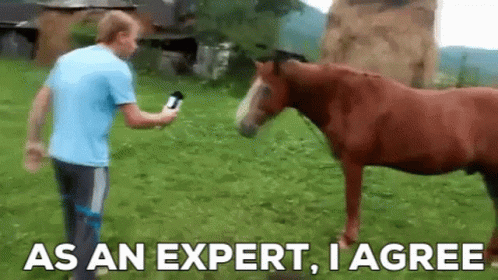 Man Next to Horse Holding Microphone