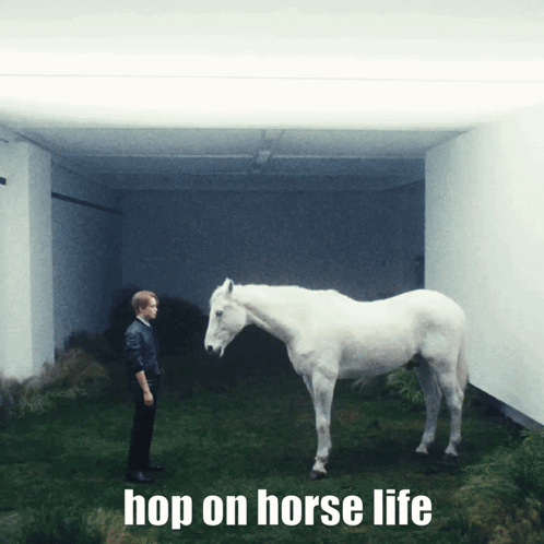 Man Next To White Horse Hop On Horse Life GIF