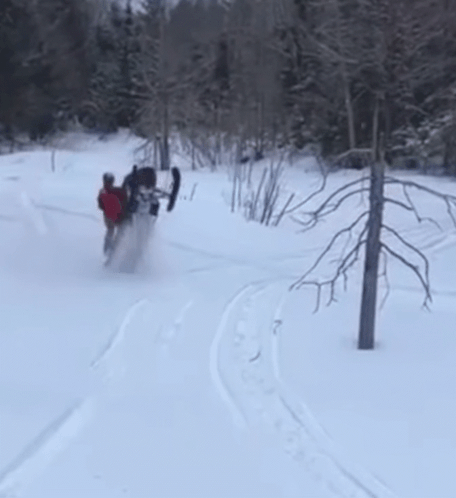Man On A Snowmobile Crashing To A Tree GIF