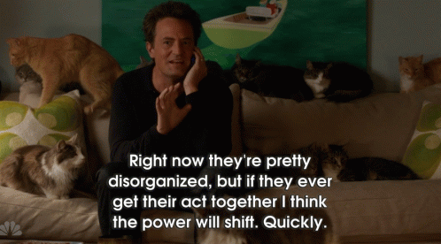 Man on Couch Talking on Phone With Cats Behind