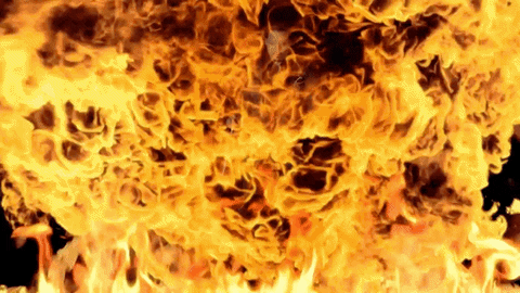 Man On Fire Lucious Lyon Empire GIF