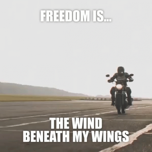 Man On Motorcycle Freedom Is The Wind Beneath My Wings GIF