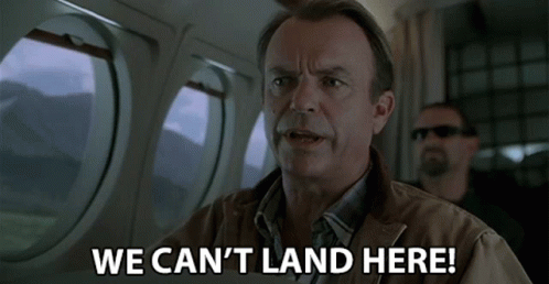 Man On Plane Says We Can't Land Here GIF