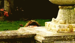 Man Peeking Over Walls GIF