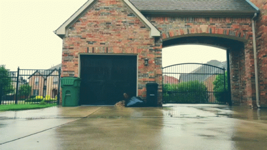 Man Perfect Cartwheel GIF