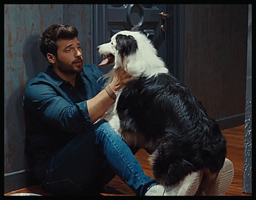 Man Petting Black and White Dog