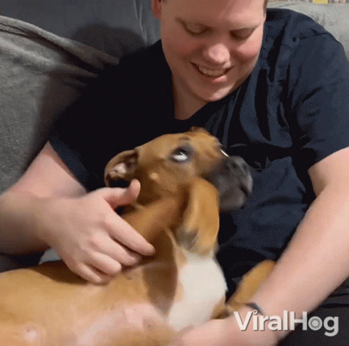 Man Petting Brown And White Dog Viralhog GIF
