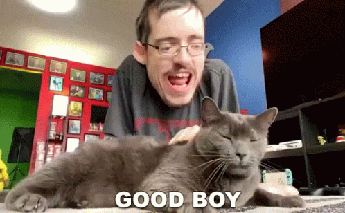 Man Petting Gray Cat Saying Good Boy