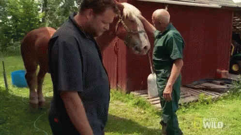 Man Petting Horse and Holding Water