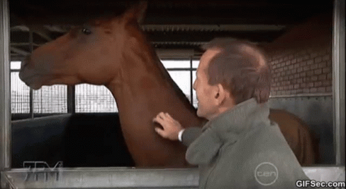 Man Petting Horse In Trailer With Ten Logo GIF