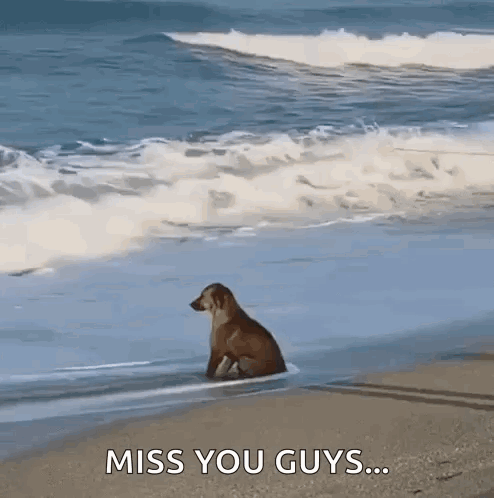 Man Playing Flute With Mouse On Shoulder GIF