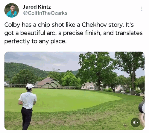 Man Playing Golf GIF