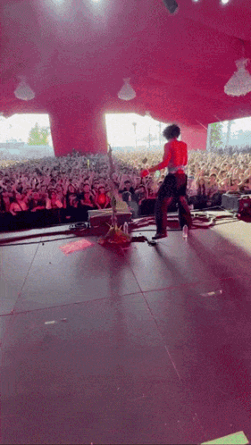 Man Playing Guitar In Crowd GIF