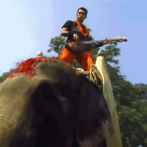 Man Playing Guitar on Elephant