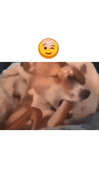 Man Playing With Dog and Food Bowl Taxes