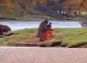 Man Poke The Bear GIF