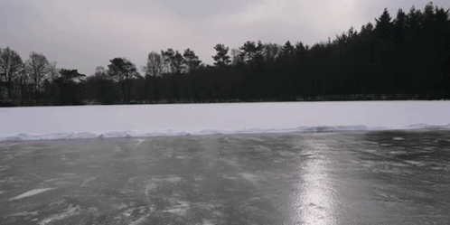 Man Posted While Slipping On Ice GIF