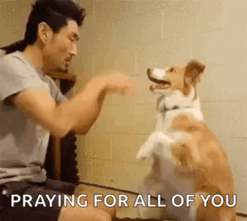 Man Praying For All Of You While Dog Jumps GIF