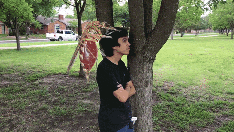 Man Punched Mosquito GIF