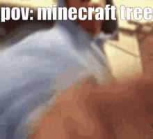 Man Punching Minecraft Tree Pov GIF