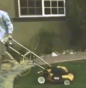 Man Pushing Lawn Mower