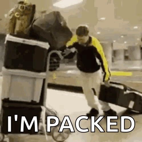 Man Pushing Luggage Cart at Airport
