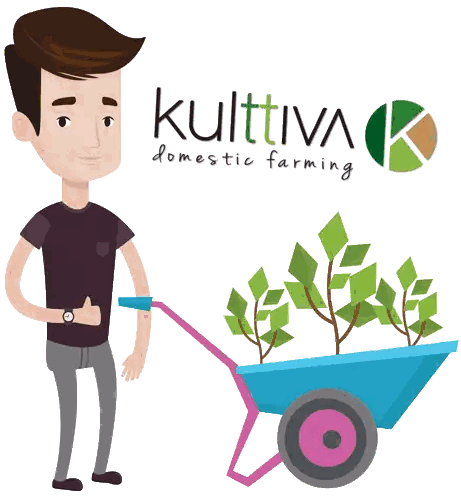 Man Pushing Wheelbarrow of Plants