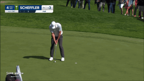 Man Putting Golf Ball On Green GIF