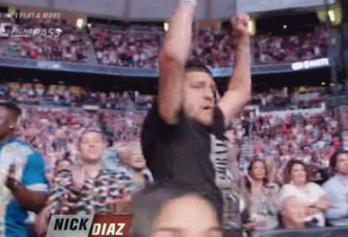 Man Raising Arms at Sports Game