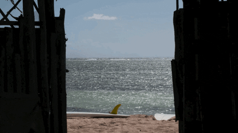 Man Relaxing While Windsurfing GIF