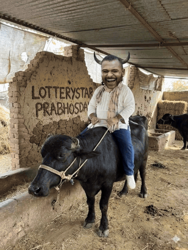 Man Riding Buffalo in Front of Lotterystar Prabhosda