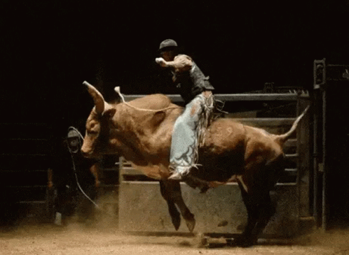 Man Riding Bull in Dark Arena