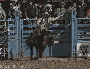 Man Riding Bull in Front of Ram Logo